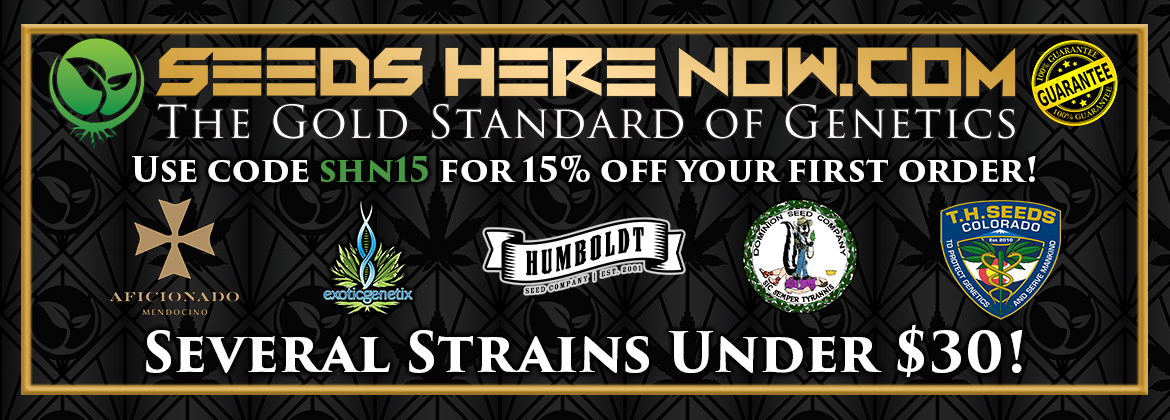 Shn hero ad 1170x420 feb2020