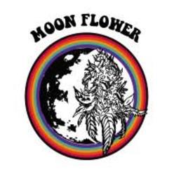 Medium moonflower