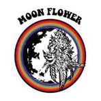 Thumb moonflower