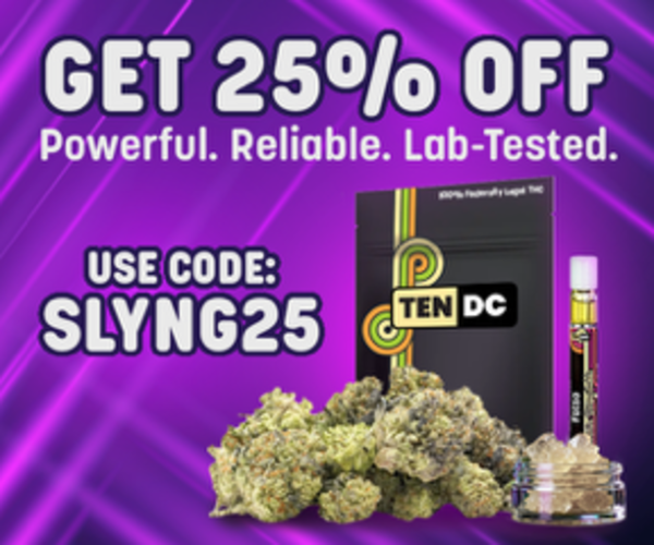 10 DC Coupon Code | 25% off entire order with code SLYNG25 | (Verified) January 2026
