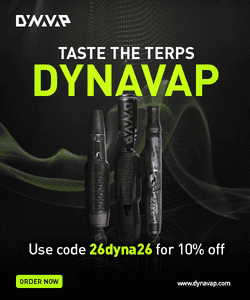 Medium dynahm