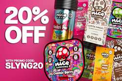 Medium slyng20 600x400  1 