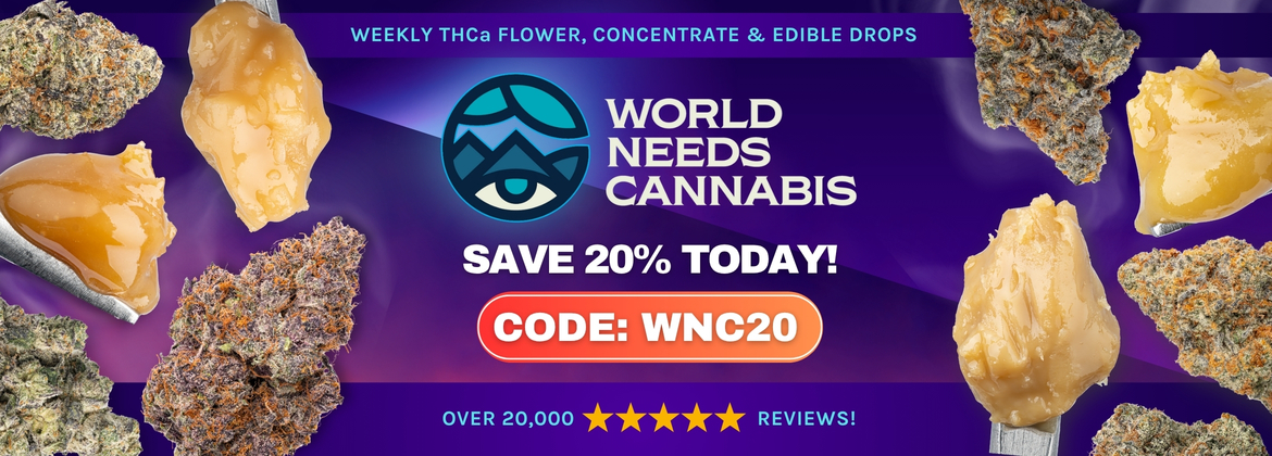 Wnc slyng 1170x420 ad